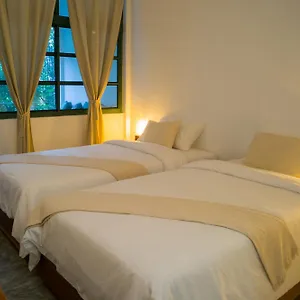 3* Hotel Big Tree Boutique